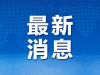 新动力网络科技