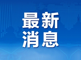 新动力网络科技